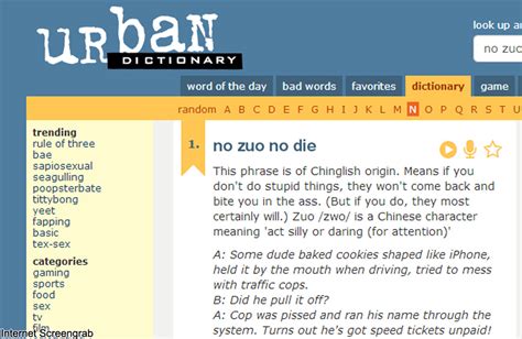 Chinese buzzwords popular on Urban Dictionary, AsiaOne ...