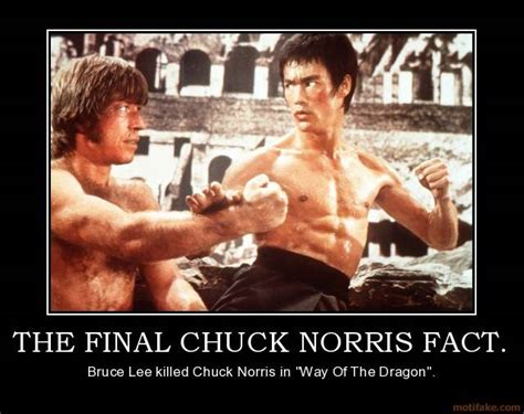Chuck Norris Facts in DCUO | Page 10 | DC Universe Online ...