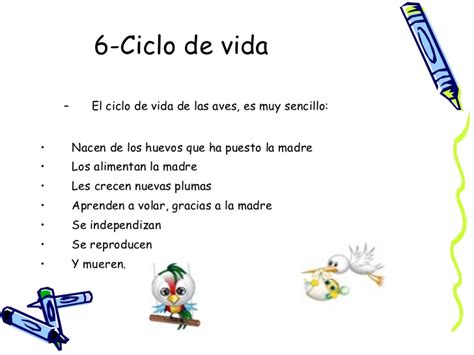 Ciclo de vida del colibri para niños de primero de ...