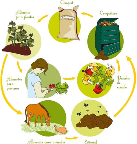 Ciclo del compost – Compostando Ciencia Lab.