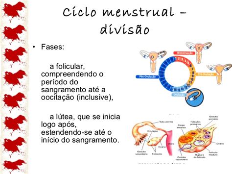 Ciclo menstrual