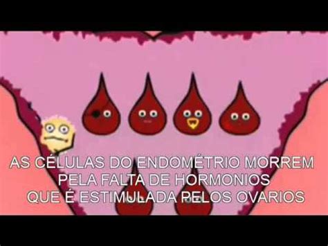 Ciclo Menstrual VERSIÓN ANIMADA   YouTube