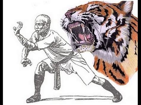 CIÊNCIA DO COMBATE  Kung Fu estilo tigre    YouTube