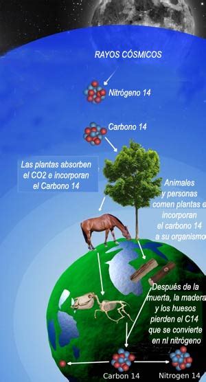 Cienciaes.com: El carbono 14 | Podcasts de Ciencia