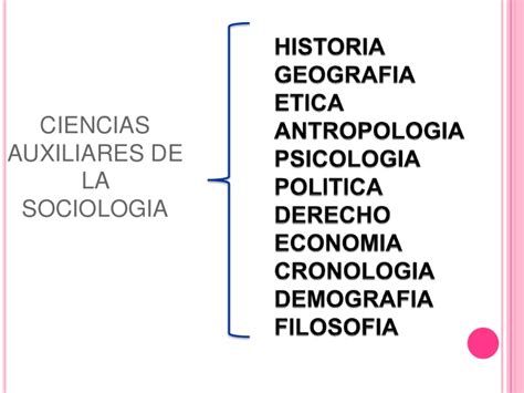 Ciencias auxiliares y ramas de la sociologia