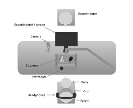 CIENCIAS COGNITIVAS: Aprendemos muy pronto el significado ...