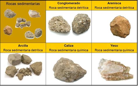 Ciencias de la Naturaleza 2ºA  IES Sierra de Mijas ...