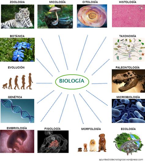 CIENCIAS I BIOLOGÍA: septiembre 2015