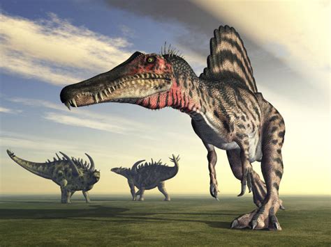 Científicos descubren al dinosaurio más grande del mundo ...