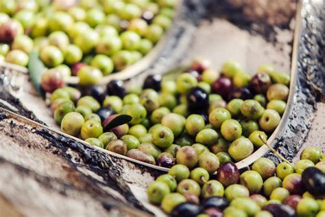 Cinco claves para saber si un aceite de oliva es bueno ...