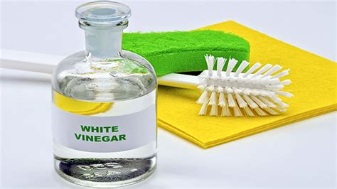 Cinco usos ecológicos del vinagre blanco