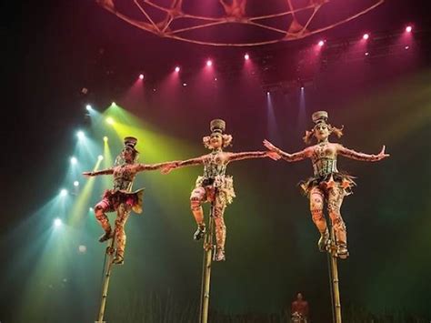 Cirque Du Soleil: TOTEM | Theatre in Singapore