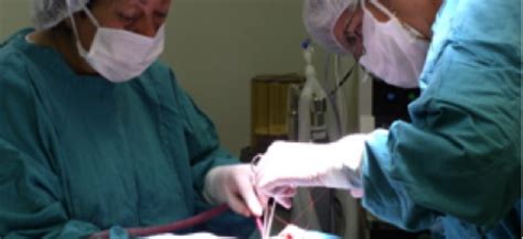 Cirugía Ambulatoria | Clínica Hospital San Fernando en Panamá