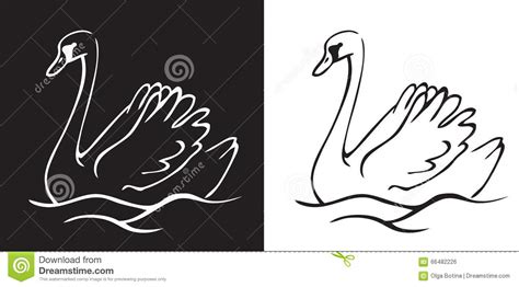 Cisne Del Pájaro En Un Fondo Blanco Y Negro Ilustración ...