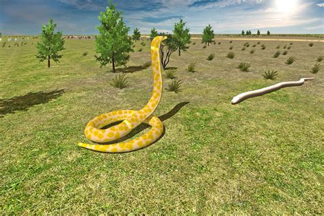 Clan of Anaconda Snakes   Android Apps on Google Play