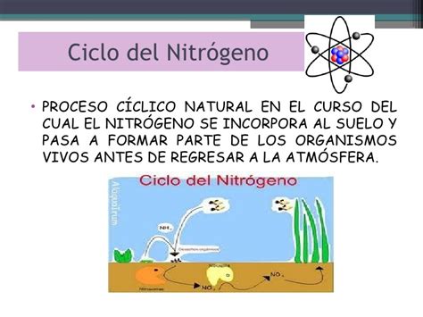Clase del ciclo del nitrogeno y fosforo