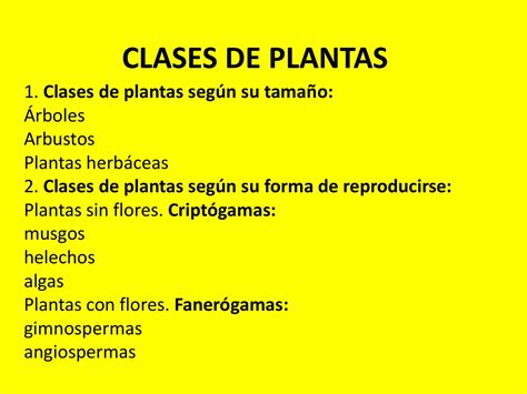 Clases de plantas by teresaquigla issuu