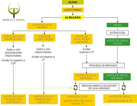 Clasificación de los Aceites de Oliva Tienda