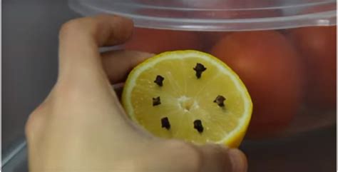Clavos en limones este y 6 trucos de cocina más   Taringa!