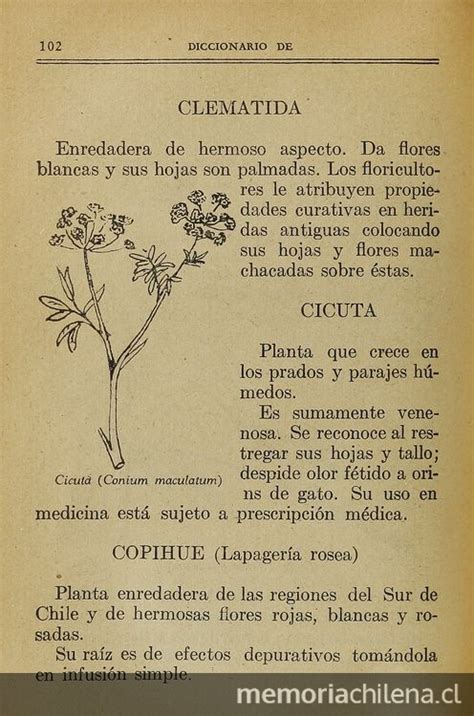 Clematida ; Cicuta ; Copihue   Memoria Chilena, Biblioteca ...