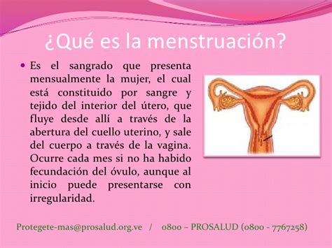 Cliclo Menstrual