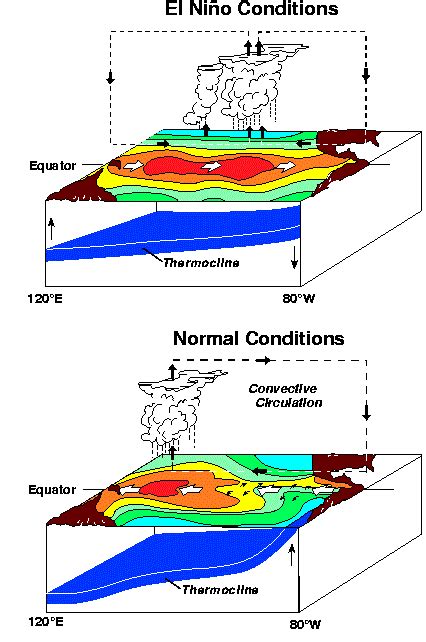 Cliff Mass Weather and Climate Blog: Is a Super El Nino ...