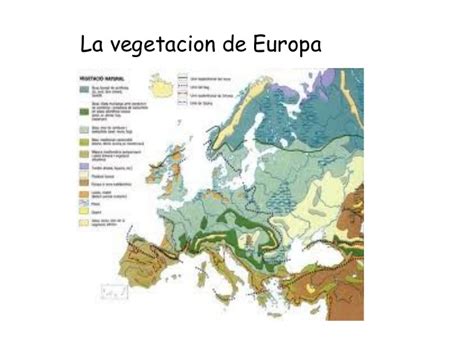 Clima y vegetacion de europa  no borrar