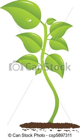 Clip Arte Vetorial de crescendo, planta   Beautifull ...