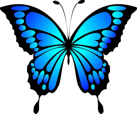 Clipart   Blue Butterfly