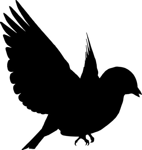 Clipart   Colorful Bird Silhouette