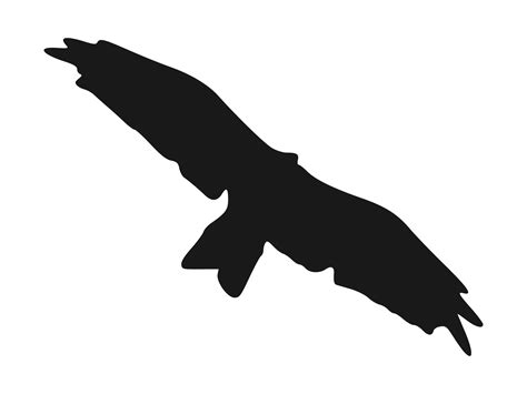 Clipart   kite bird  silhouette
