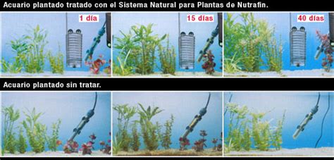 Co2 Sistema Natural Para Plantas   $ 899.00 en Mercado Libre
