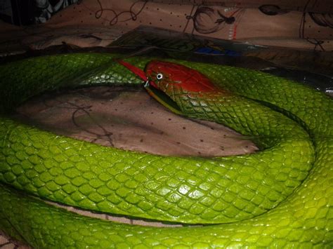 Cobra Serpente Cabeça Vermelha De Borracha Espessa Grossa ...