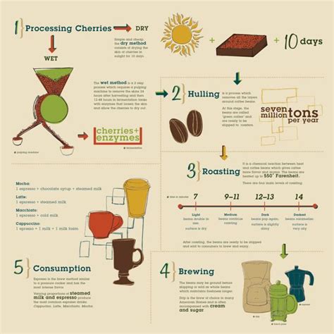 Coffee infographic about processing cherry beans to become ...