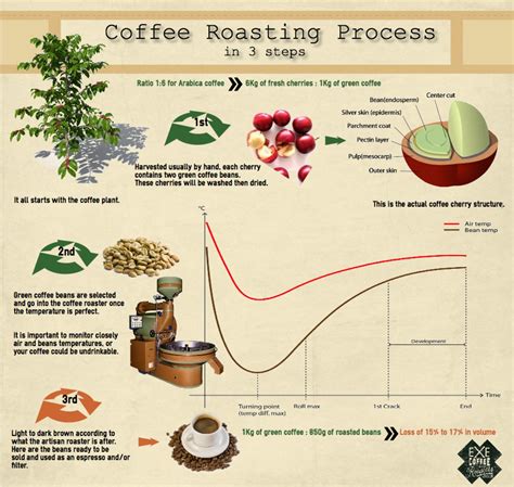 Coffee roasting process infographic | Visual.ly