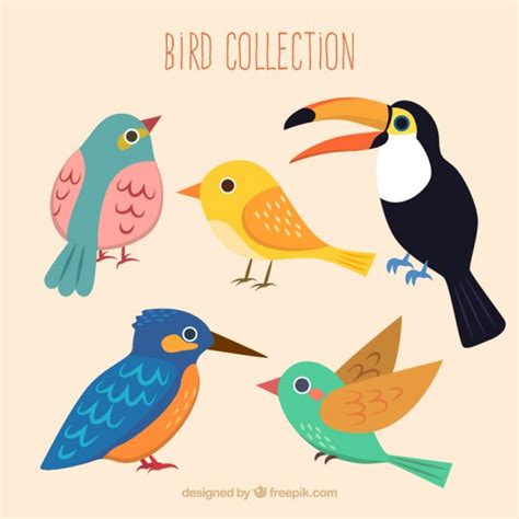 Colección de bonitos pájaros | Descargar Vectores gratis