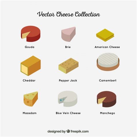 Colección de diferentes tipos de quesos | Descargar ...
