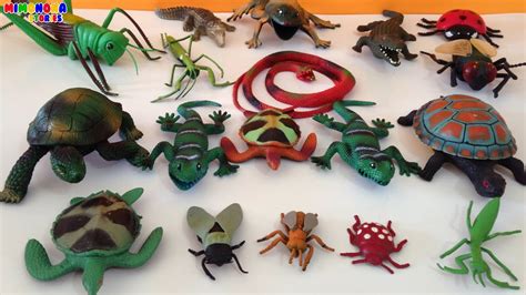 Coleccion de Reptiles e Insectos para niños   Videos de ...