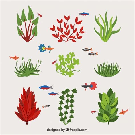 Colección de tipos de algas y peces | Descargar Vectores ...