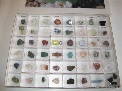coleccion geoplay con 48 minerales de gran pure   Comprar ...