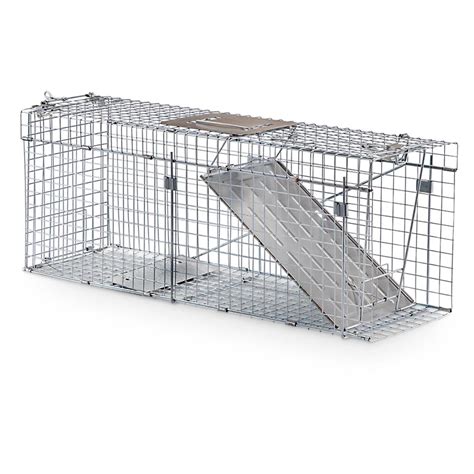 Collapsible Live Animal Trap   221452, Traps & Trapping ...