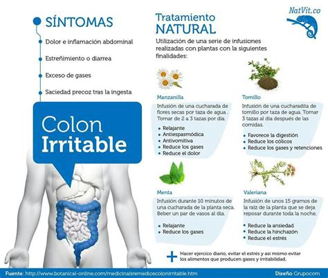 Colon irritable | colon irritable | Pinterest | Enfermedades