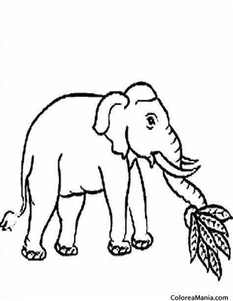 Colorear Elefante comiendo plantas  Animales de la Sabana ...