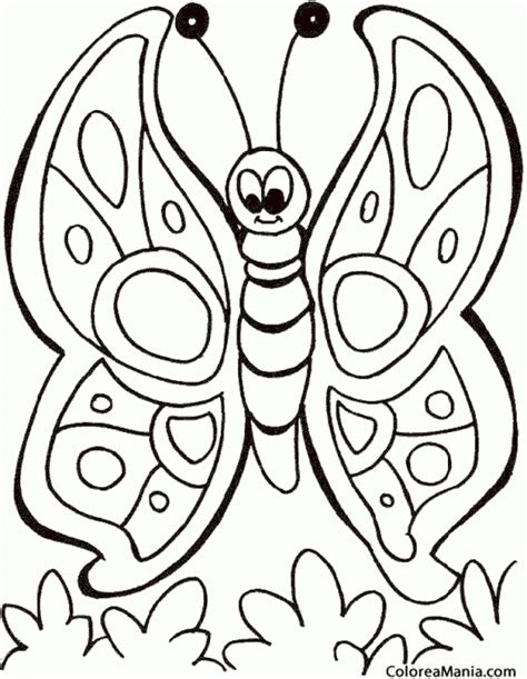 Colorear Mariposa, dibujo infantil  Insectos , dibujo para ...