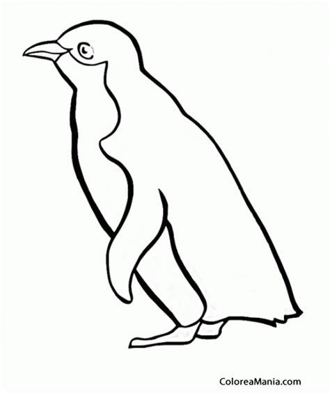Colorear Silueta Pingüino  Animales Polares , dibujo para ...
