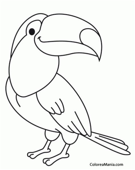 Colorear Tucán, de cómic  Aves , dibujo para colorear gratis