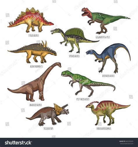 Colored Illustrations Different Dinosaurs Types ...