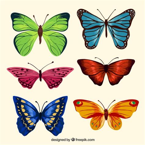 Colores mariposas paquete de diseño realista | Descargar ...