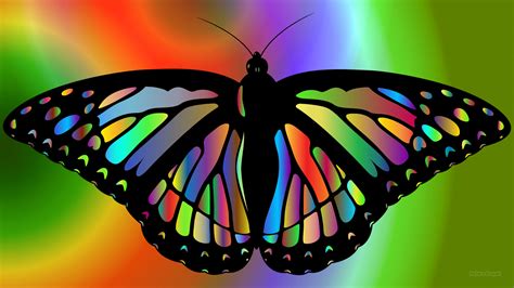 Colorful butterfly   Barbaras HD Wallpapers
