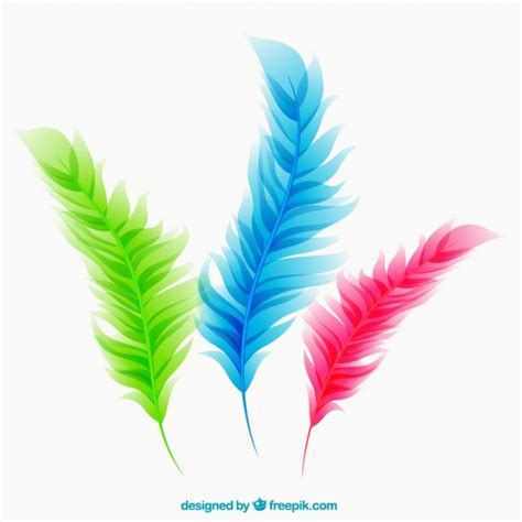 Colorful feathers Vector | Free Download